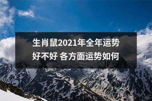 生肖鼠2025年全年运势好不好各方面运势如何