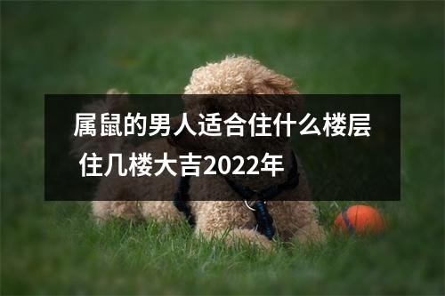 属鼠的男人适合住什么楼层住几楼大吉2025年