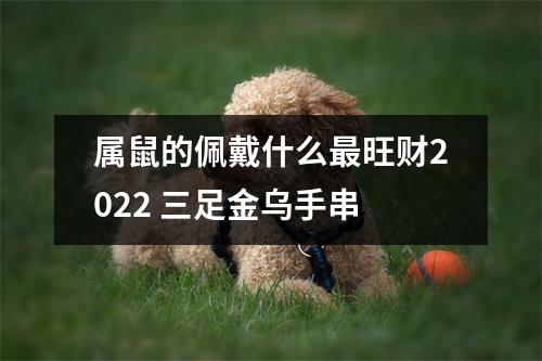 <h3>属鼠的佩戴什么旺财2025三足金乌手串