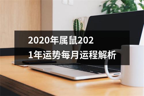 2020年属鼠2021年运势每月运程解析