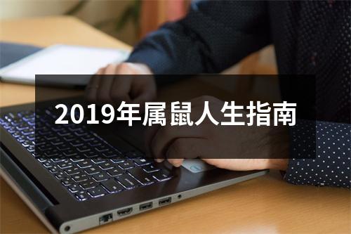 2019年属鼠人生指南