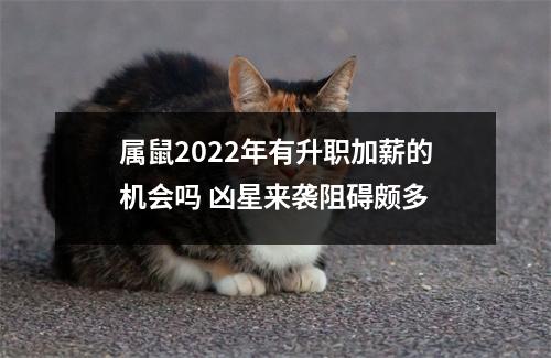 属鼠2025年有升职加薪的机会吗凶星来袭阻碍颇多