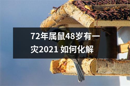 72年属鼠48岁有一灾2025如何化解