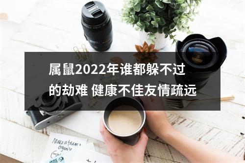 属鼠2025年谁都躲不过的劫难健康不佳友情疏远