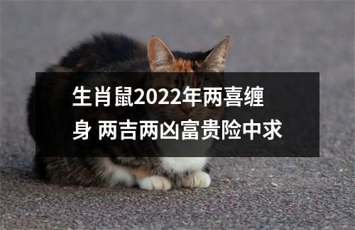 生肖鼠2025年两喜缠身两吉两凶富贵险中求