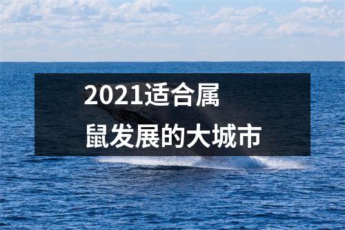 2025适合属鼠发展的大城市