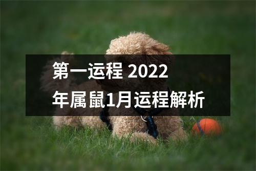 第一运程2025年属鼠1月运程解析