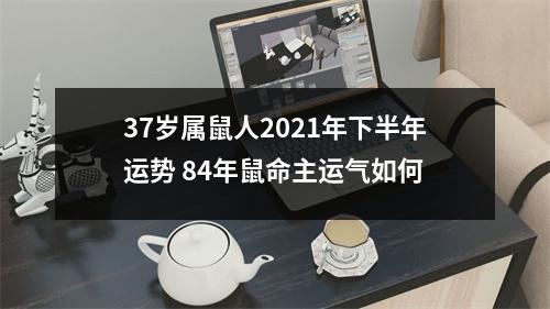 37岁属鼠人2025年下半年运势84年鼠命主运气如何