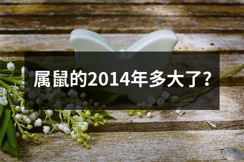 <h3>属鼠的2014年多大了？