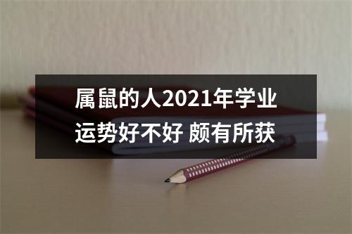 属鼠的人2025年学业运势好不好颇有所获