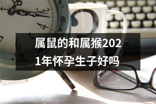 属鼠的和属猴2025年怀孕生子好吗