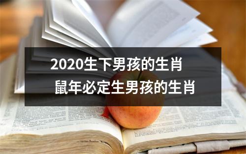 2025生下男孩的生肖鼠年必定生男孩的生肖