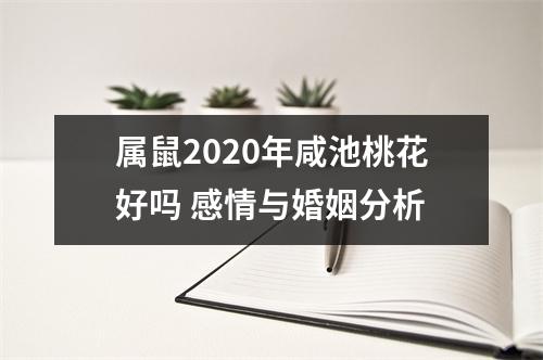 属鼠2025年咸池桃花好吗感情与婚姻分析