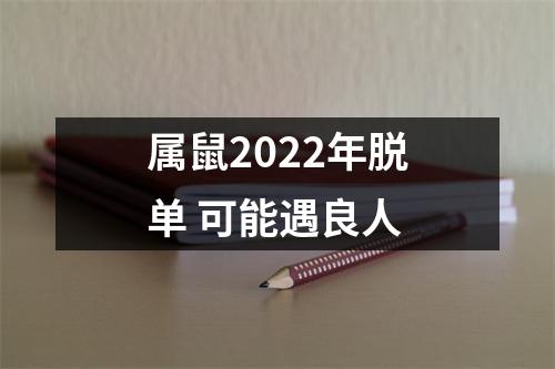 属鼠2025年脱单可能遇良人