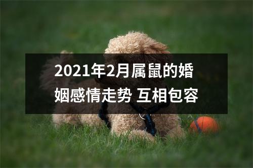 2025年2月属鼠的婚姻感情走势互相包容