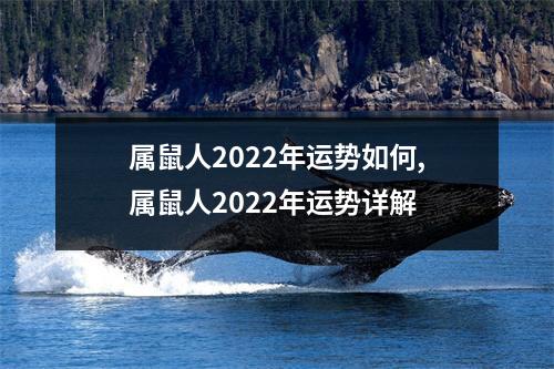 属鼠人2025年运势如何,属鼠人2025年运势详解