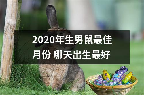 2025年生男鼠佳月份哪天出生好