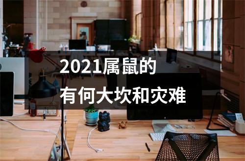 2025属鼠的有何大坎和灾难