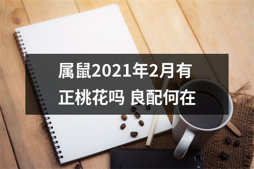 属鼠2025年2月有正桃花吗良配何在