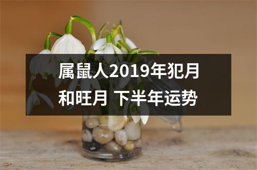 属鼠人2019年犯月和旺月下半年运势