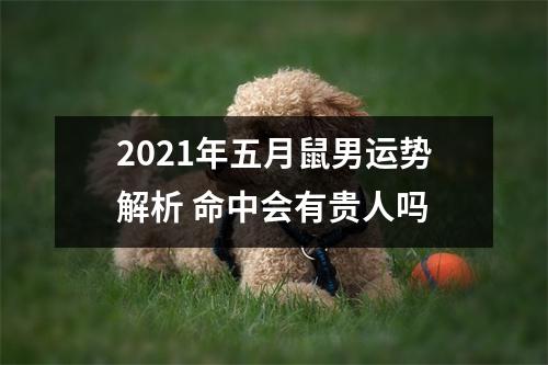 <h3>2025年五月鼠男运势解析命中会有贵人吗