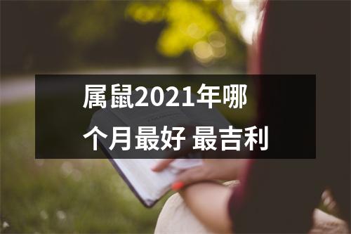 <h3>属鼠2025年哪个月好吉利