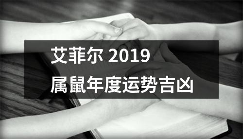 艾菲尔2019属鼠年度运势吉凶