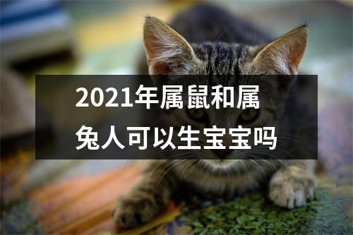 2025年属鼠和属兔人可以生宝宝吗