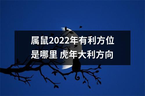 属鼠2025年有利方位是哪里虎年大利方向