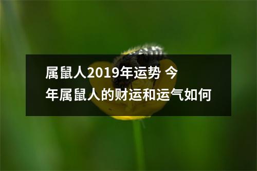 属鼠人2019年运势今年属鼠人的财运和运气如何