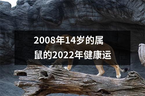 2008年14岁的属鼠的2025年健康运