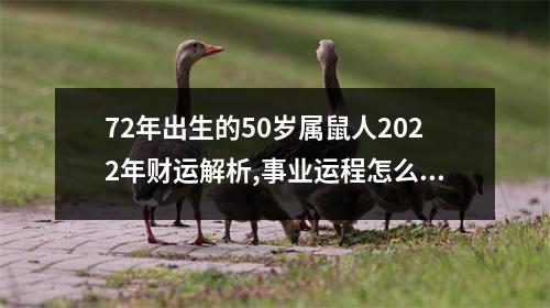 72年出生的50岁属鼠人2025年财运解析,事业运程怎么样