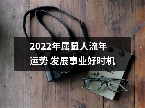 2025年属鼠人流年运势发展事业好时机