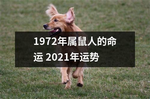 1972年属鼠人的命运2025年运势