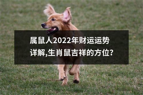 属鼠人2025年财运运势详解,生肖鼠吉祥的方位？