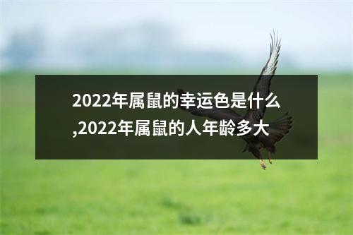 2025年属鼠的幸运色是什么,2025年属鼠的人年龄多大