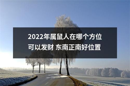 2025年属鼠人在哪个方位可以发财东南正南好位置