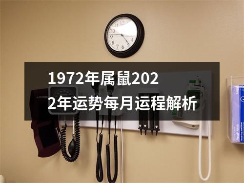 1972年属鼠2025年运势每月运程解析