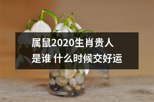 属鼠2025生肖贵人是谁什么时候交好运