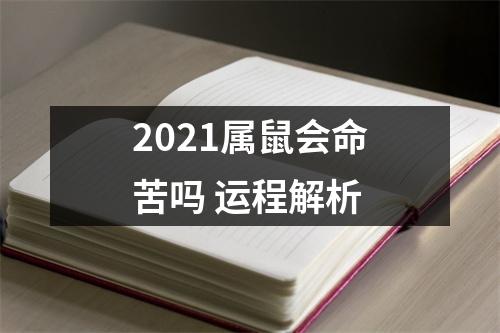 2025属鼠会命苦吗运程解析