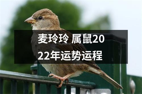 麦玲玲属鼠2025年运势运程