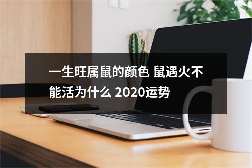 一生旺属鼠的颜色鼠遇火不能活为什么2025运势