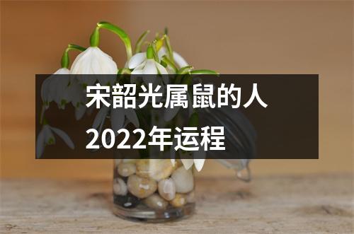 宋韶光属鼠的人2025年运程