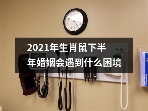 2025年生肖鼠下半年婚姻会遇到什么困境