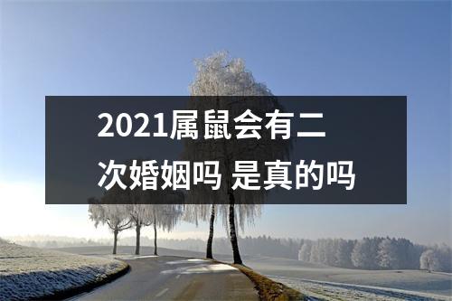 2025属鼠会有二次婚姻吗是真的吗