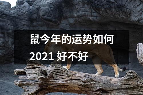 鼠今年的运势如何2025好不好