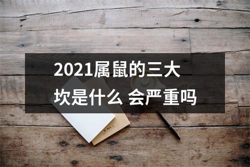 2025属鼠的三大坎是什么会严重吗