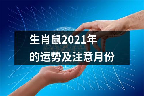 生肖鼠2025年的运势及注意月份