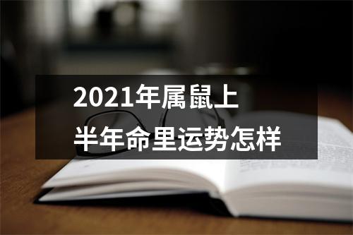 2025年属鼠上半年命里运势怎样