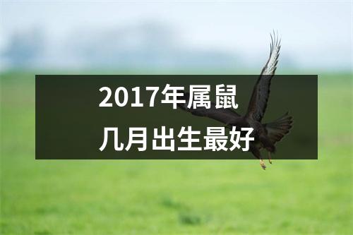 2017年属鼠几月出生好